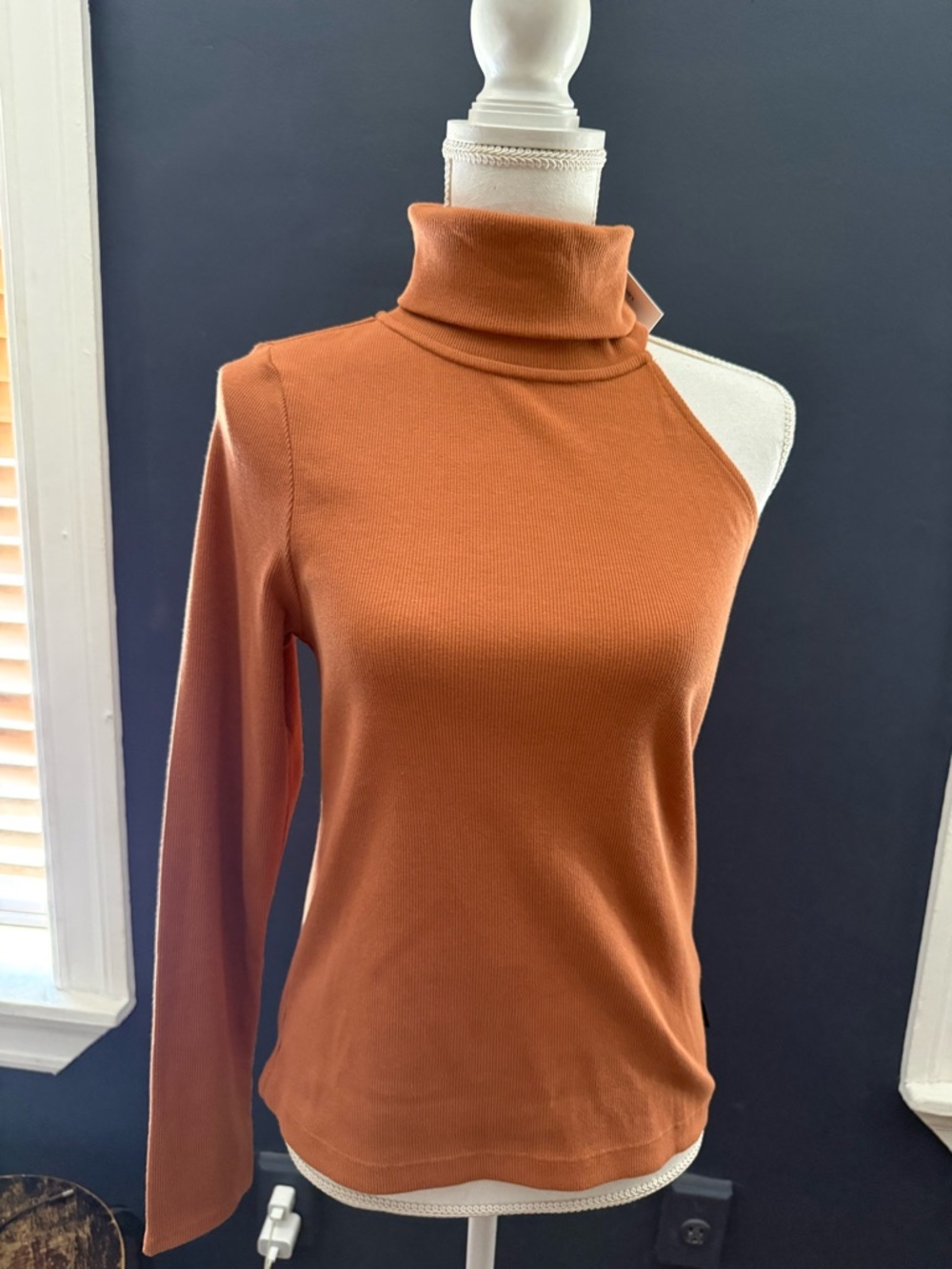 Calvin Klein Jeans One-Shoulder Rust Turtleneck Bodysuit